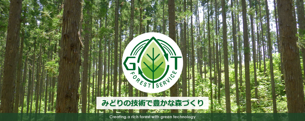 メインイメージ